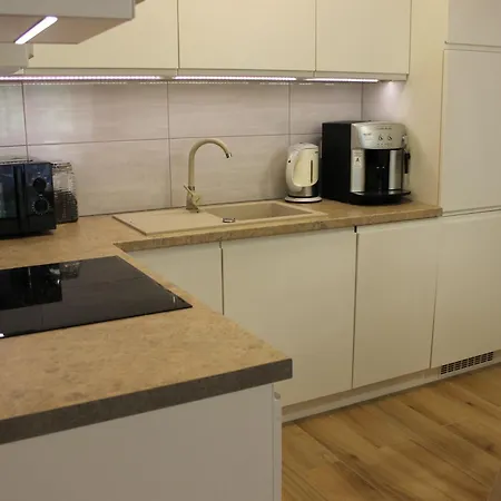 Blisko Centrum Z Garazem *