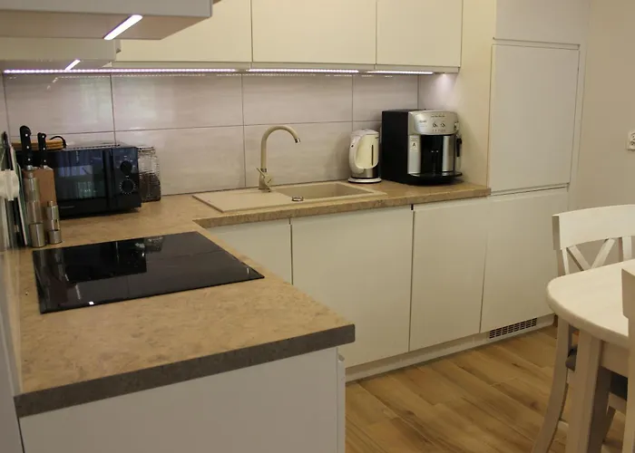 Blisko Centrum Z Garazem *